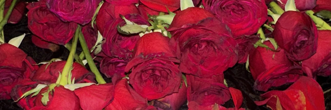xo03ig's profile banner image