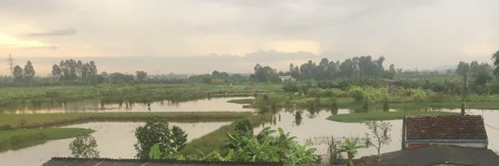 Truong Hoang Dung banner