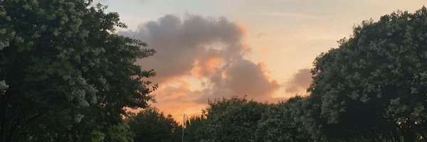 kiratray_ Profile Banner