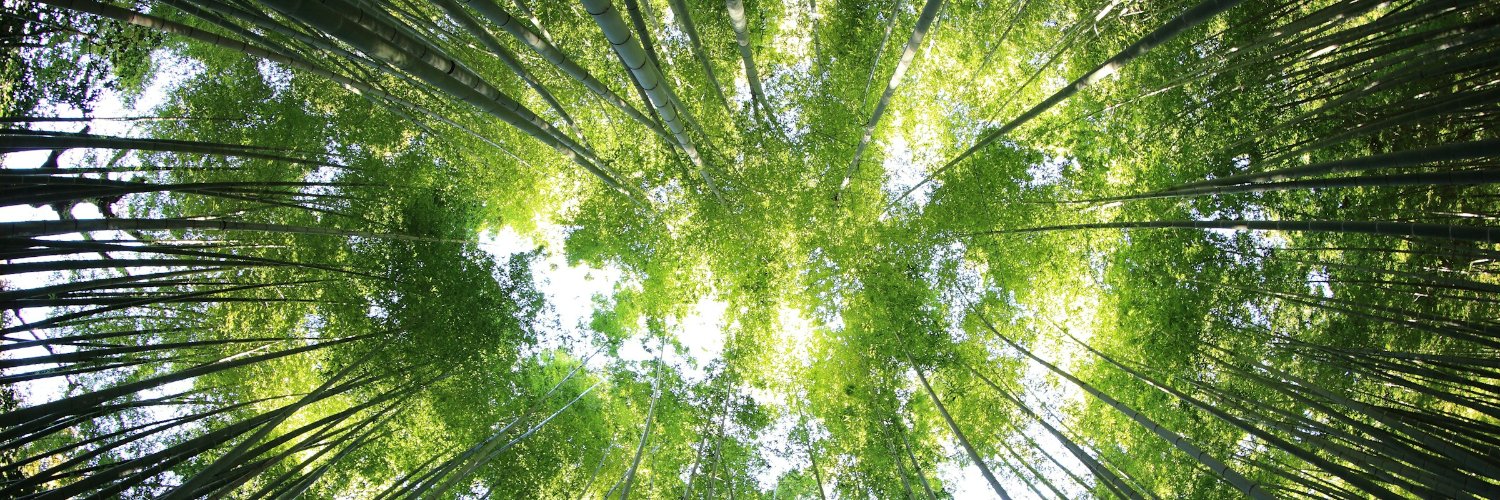 Irma L. Olguin Jr. banner