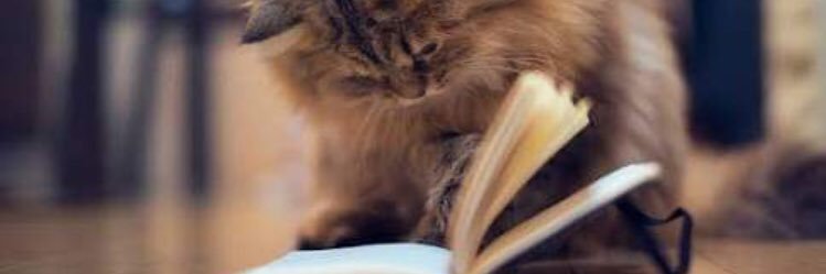 Syahri Achmad banner