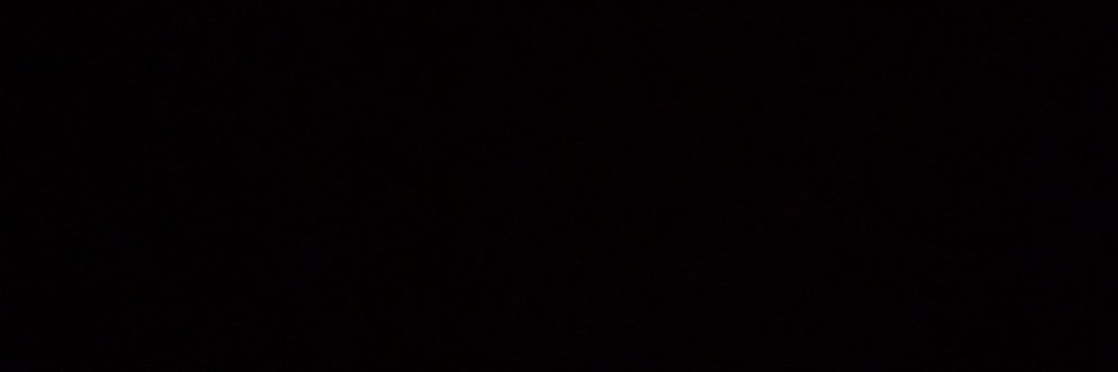 stephon banner