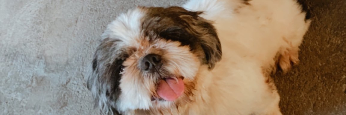 cesacles's profile banner image