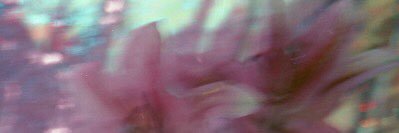 FridaMataT's profile banner image