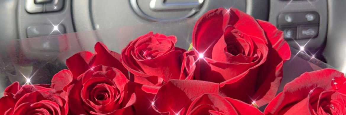 DaisyAvila_11's profile banner image