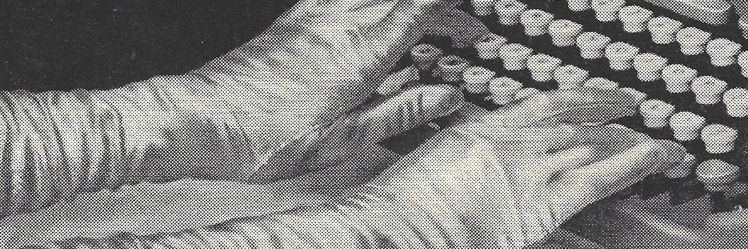 Elisa Alejandra banner