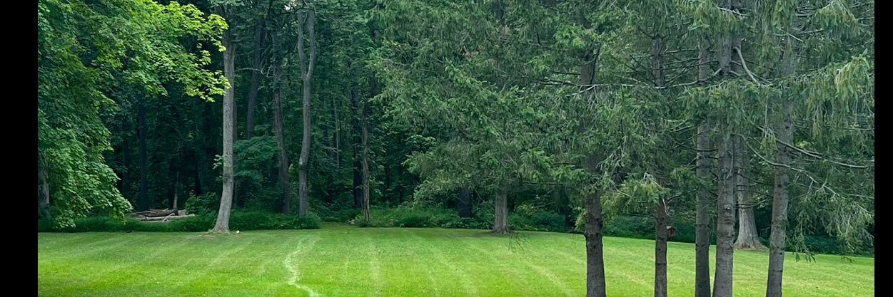 goddesslaney's profile banner image