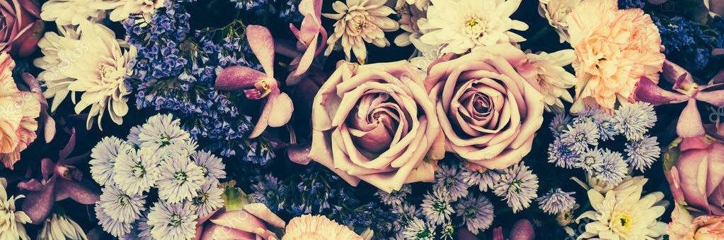 han_uh16's profile banner image