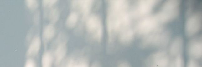 slothlia's profile banner image