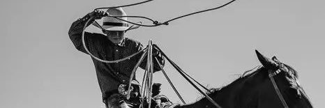 hwtrapp's profile banner image