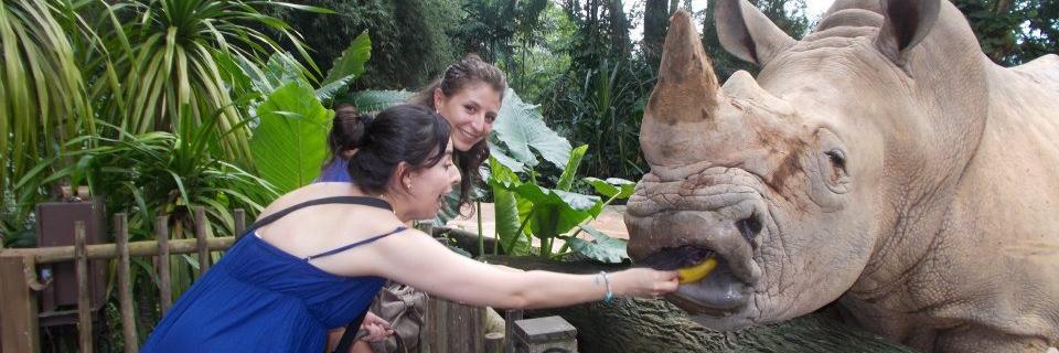 jeny_scanlan's profile banner image