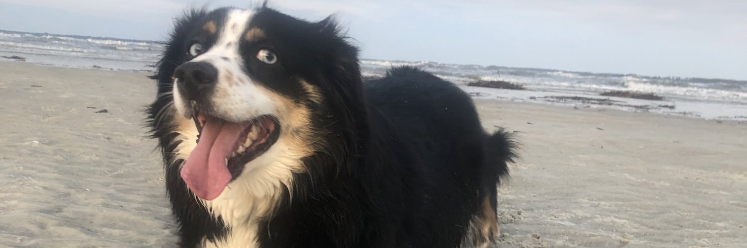 BreynAlyse's profile banner image