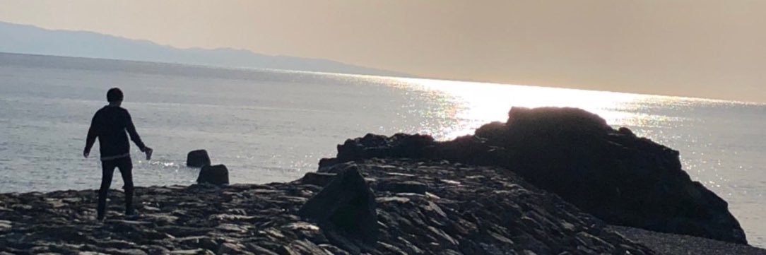 monaconoking's profile banner image