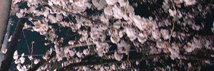 nono01_Insta's profile banner image