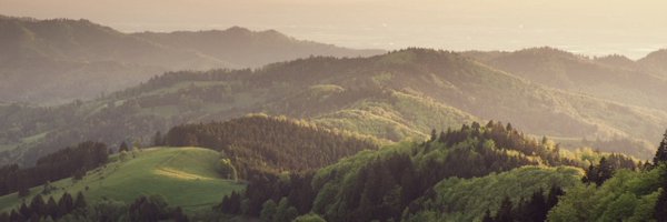 JimCognito2016 Profile Banner
