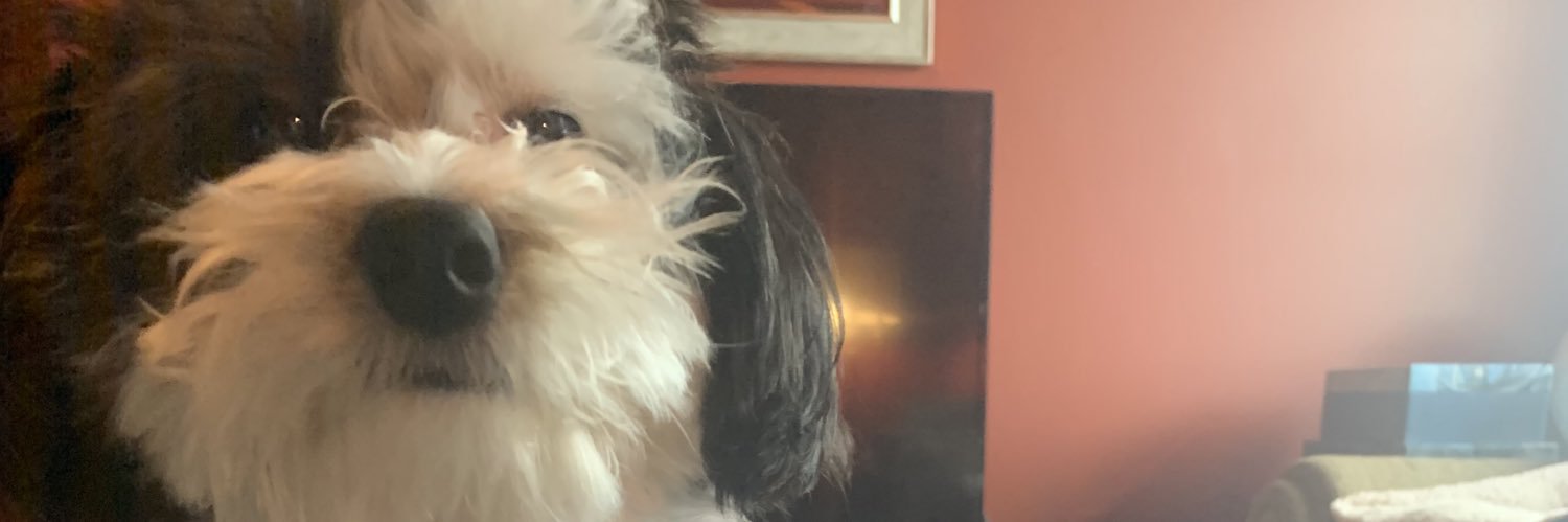 LillyFinley7's profile banner image