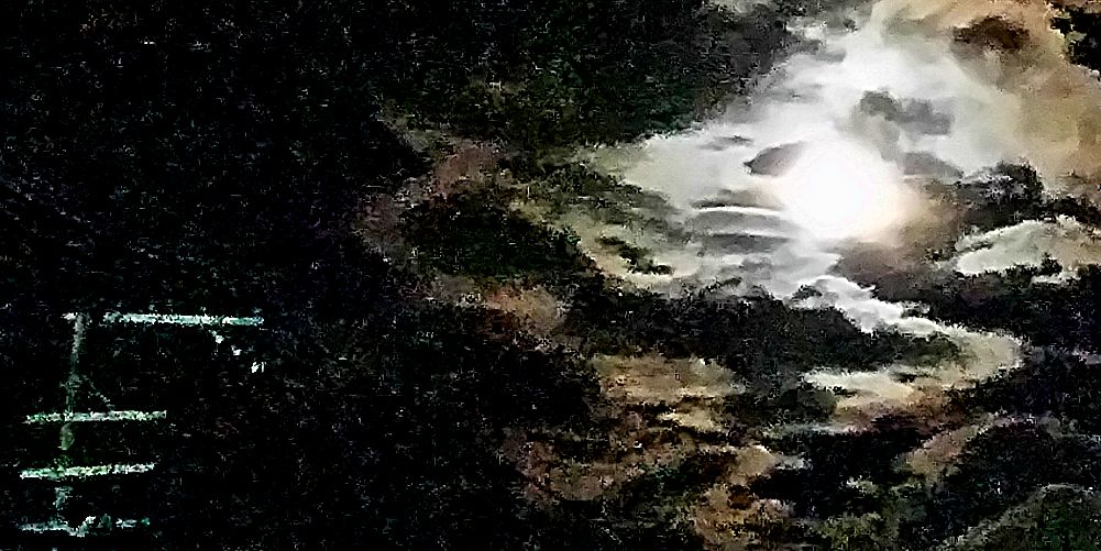 ucchiee44's profile banner image