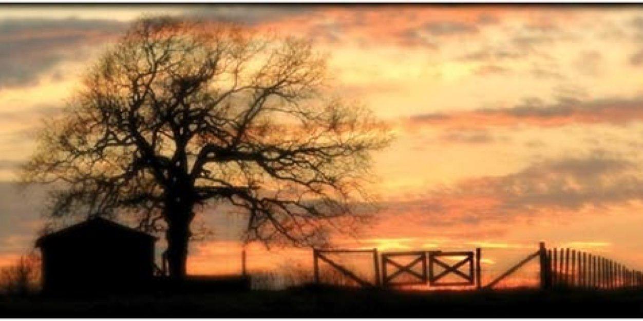 MorganDeters's profile banner image