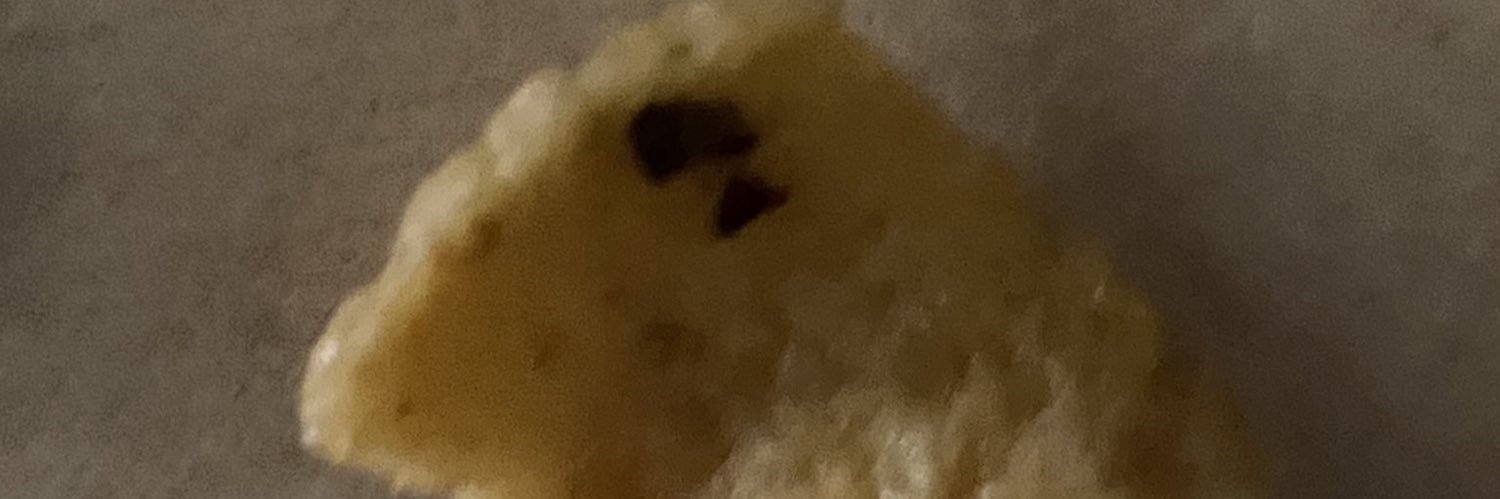 PapaJasuu's profile banner image