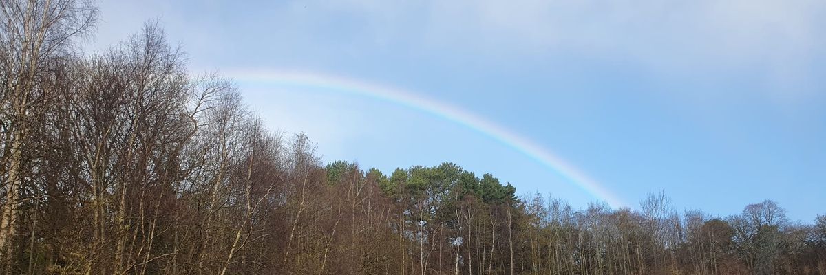 Elle5teele's profile banner image