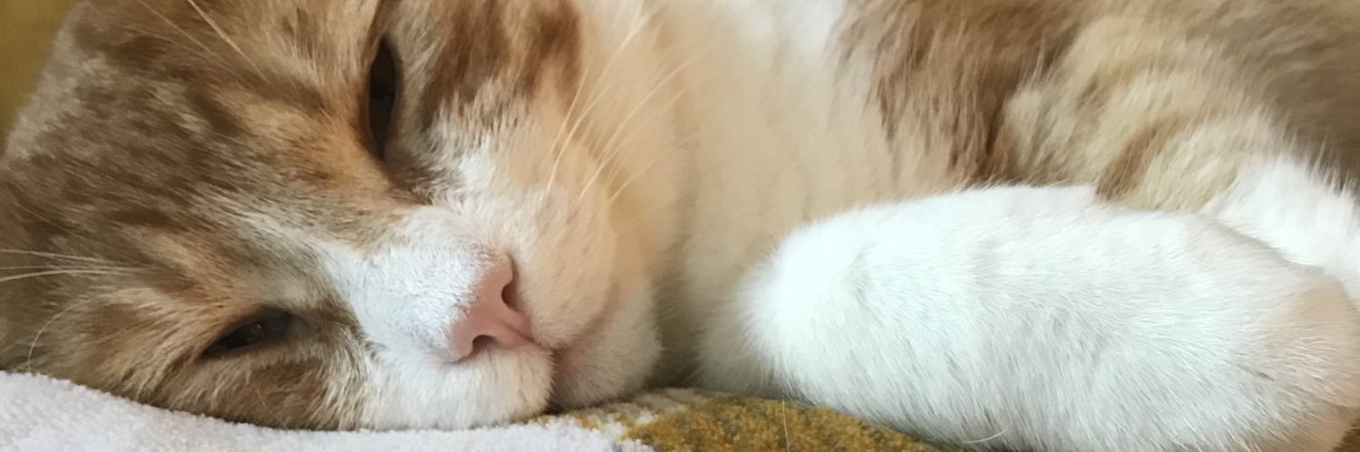pinkstina's profile banner image