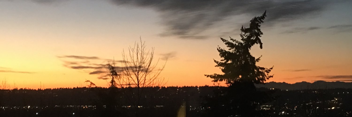 shbbll's profile banner image
