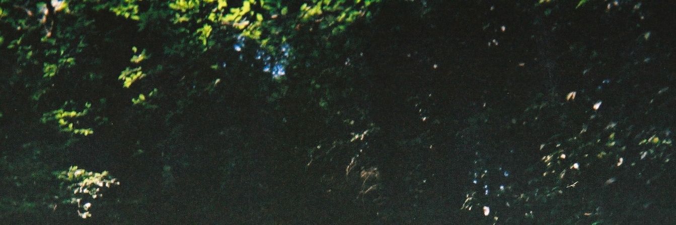 ellipse413's profile banner image