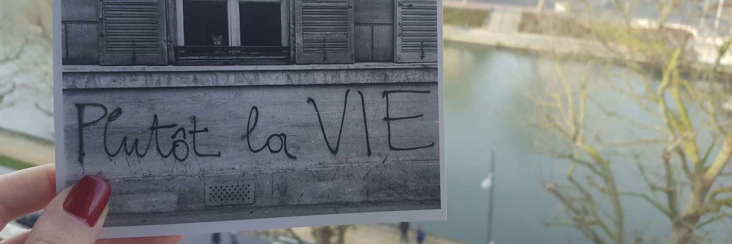 Romy Batrouny banner