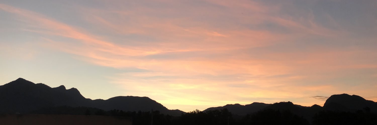 MaraColom2's profile banner image