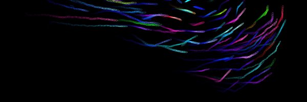 CollectiveBehav Profile Banner
