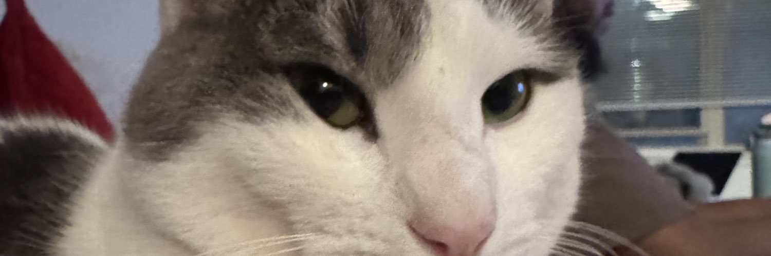 smaomii's profile banner image