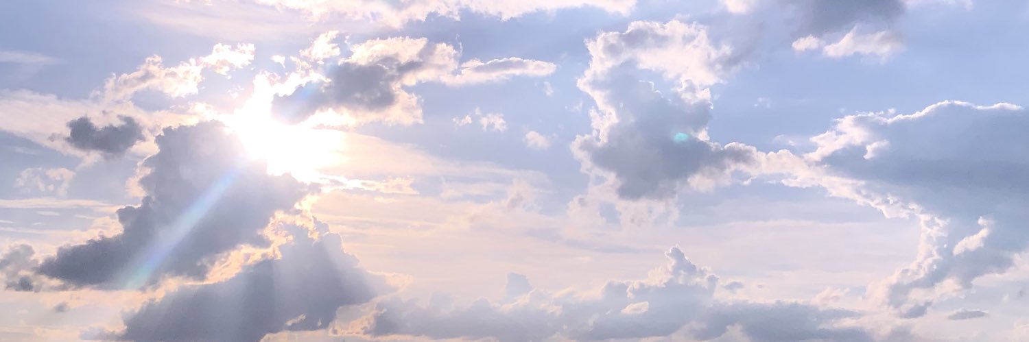 draftslarissa's profile banner image