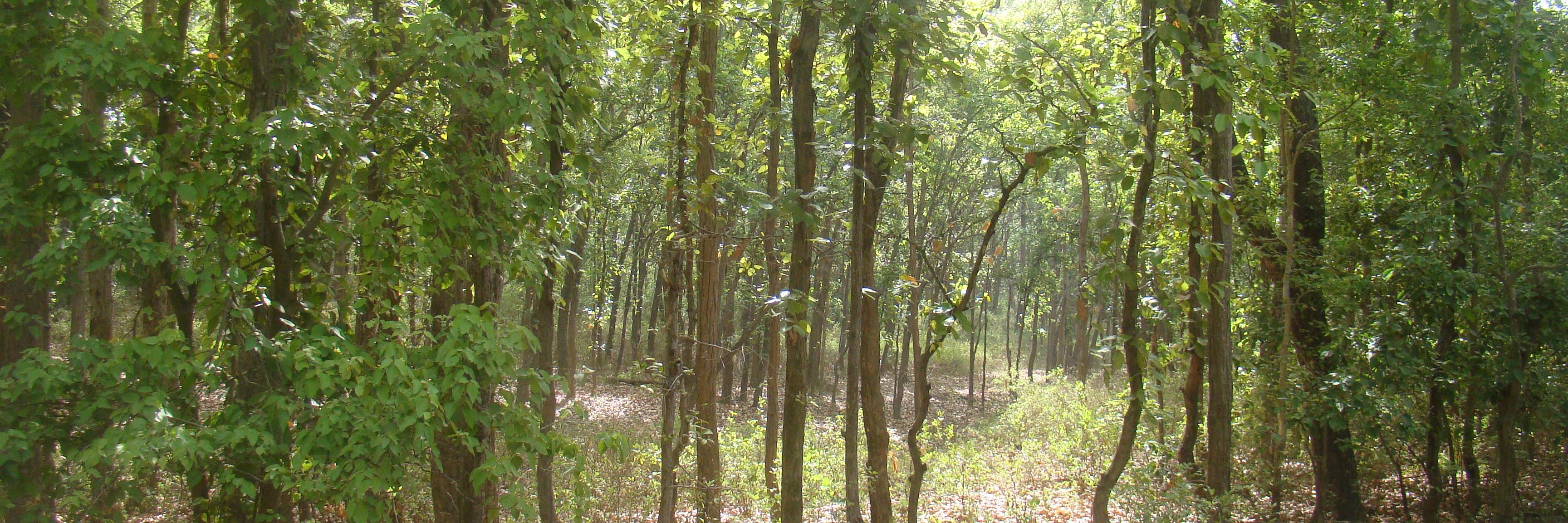 anoopmitra's profile banner image