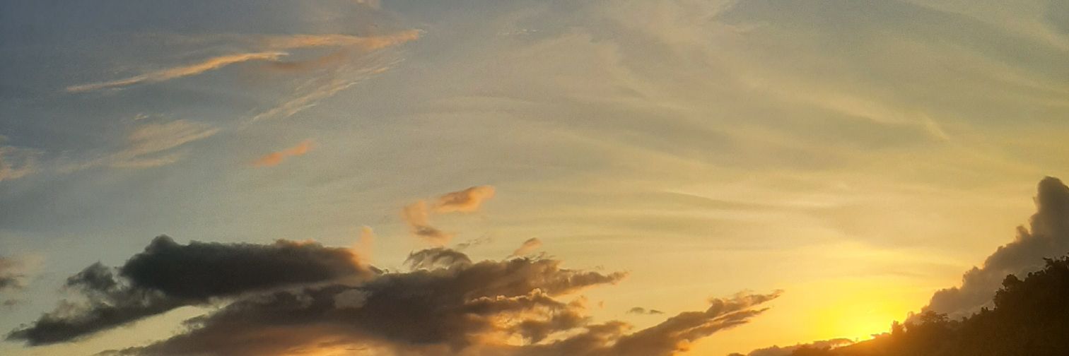 ﾁｬー🍥 banner