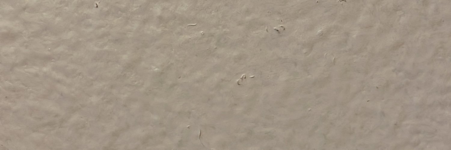 Wayne___E's profile banner image