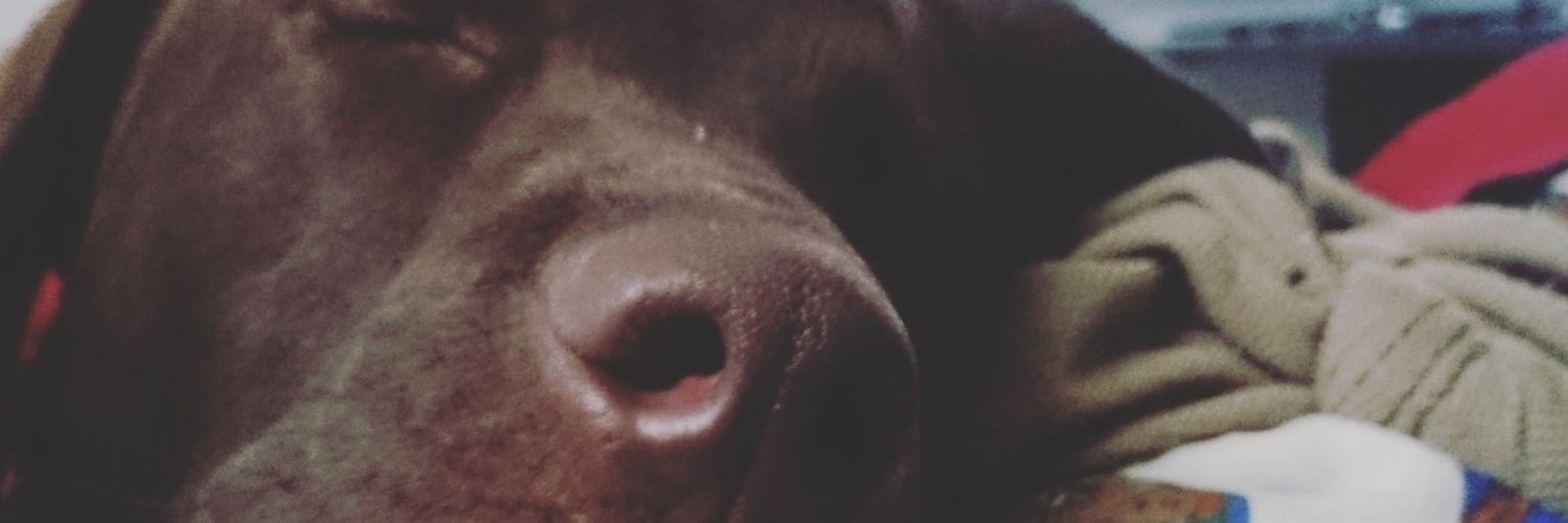 AND27's profile banner image