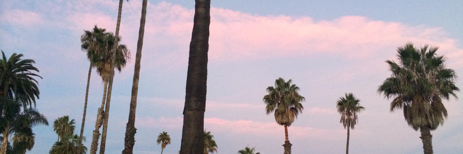 hannahmearns's profile banner image