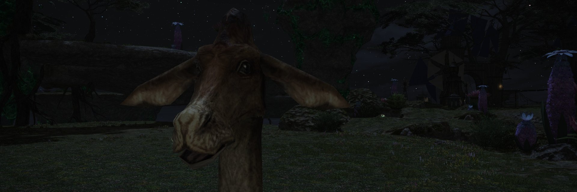 Tyr_Edil's profile banner image
