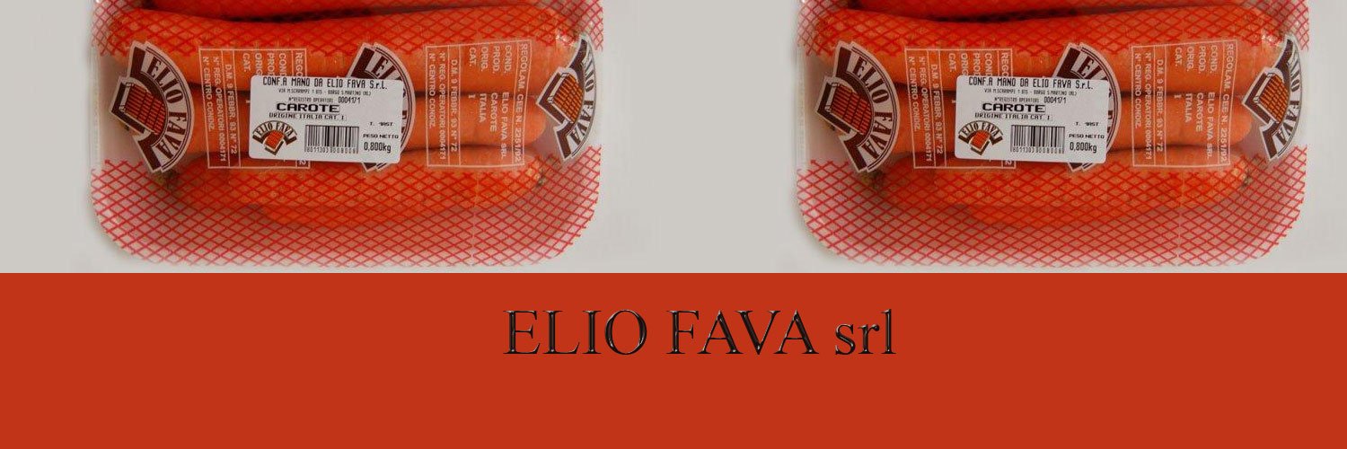 ELIO FAVA SRL CAROTE banner