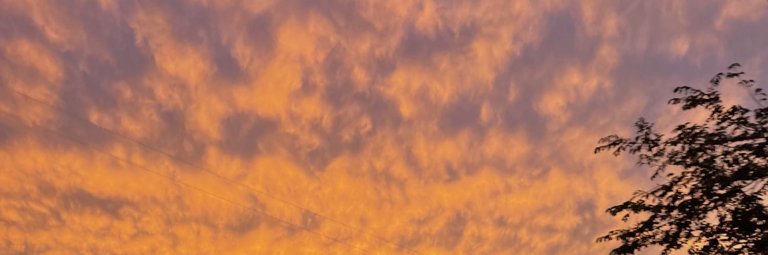 __RainC's profile banner image