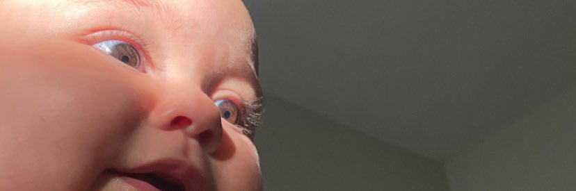 Bu_ribeiro_'s profile banner image