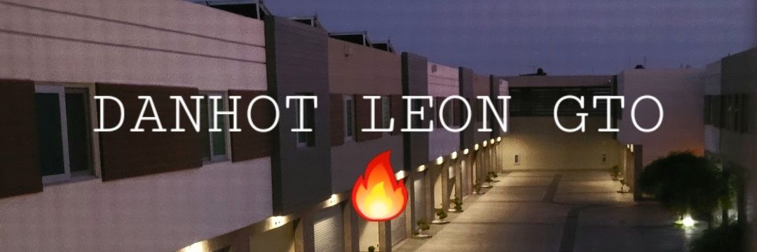 Leo single🦁 banner