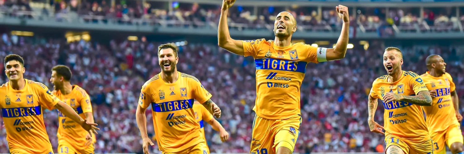 Warrior’s 🕊️ banner