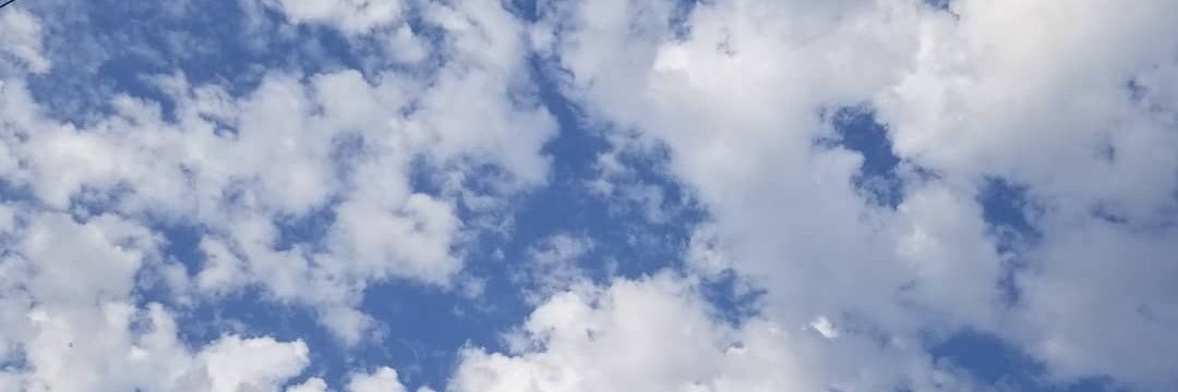 Cass 🌻Book Editor🌻 banner