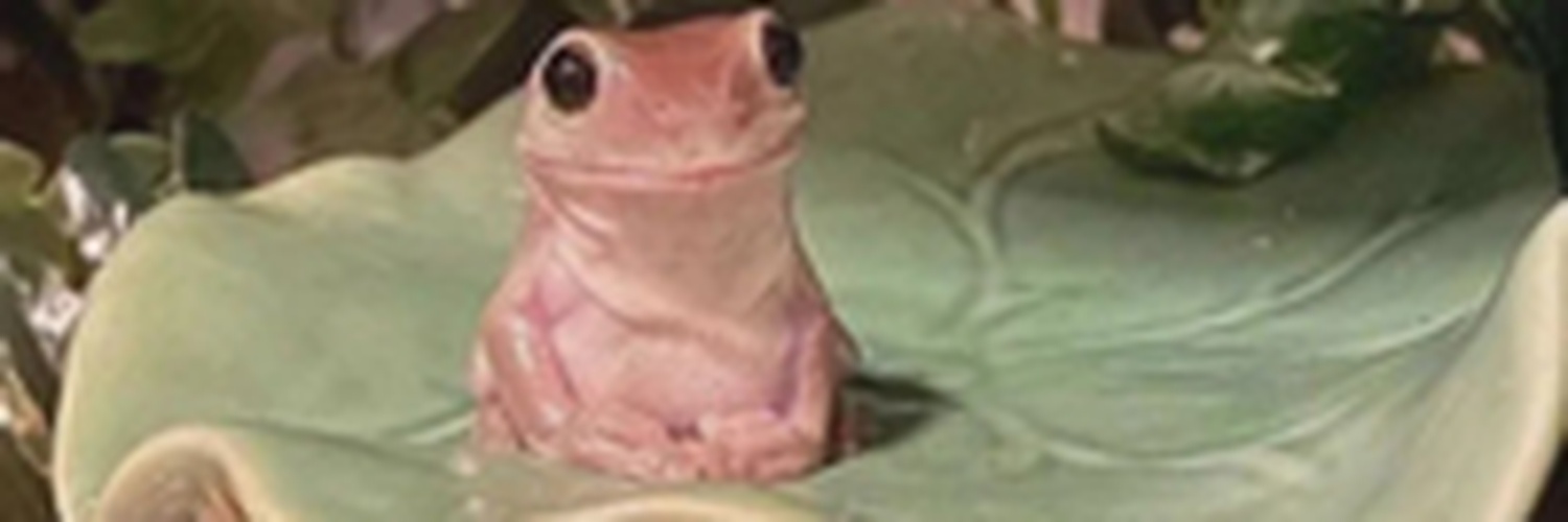drivevincely0's profile banner image