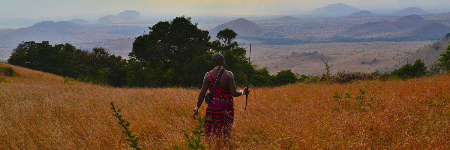 NelsonDhlamini's profile banner image