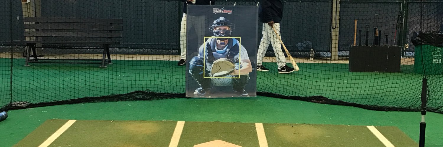 Pro Strike Zone banner