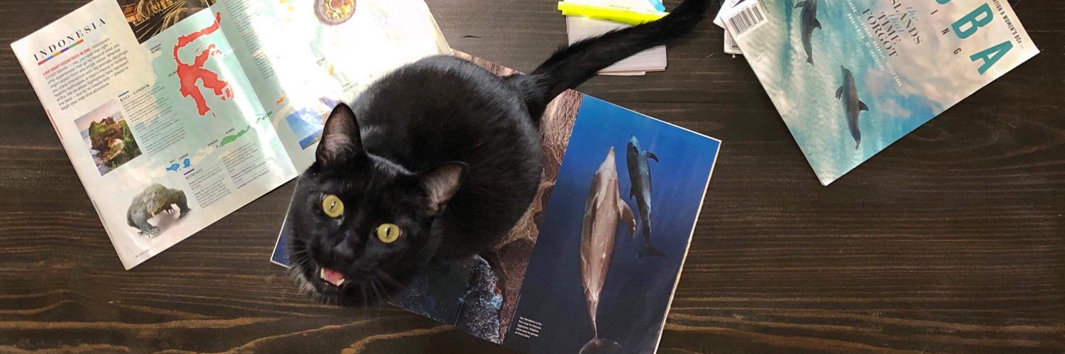 Alexandra Gillespie banner