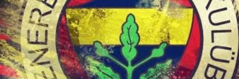 rcpborinli's profile banner image