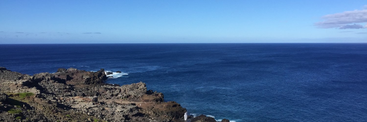 allisonweinst's profile banner image